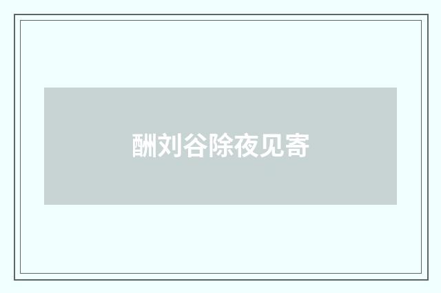 酬刘谷除夜见寄