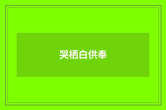 哭栖白供奉