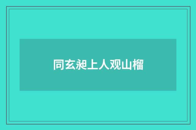 同玄昶上人观山榴
