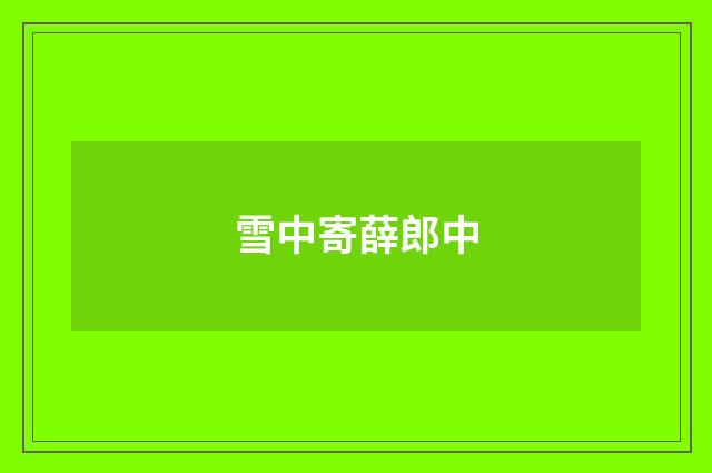 雪中寄薛郎中