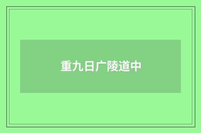 重九日广陵道中