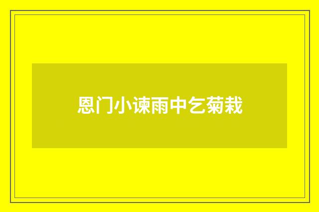 恩门小谏雨中乞菊栽