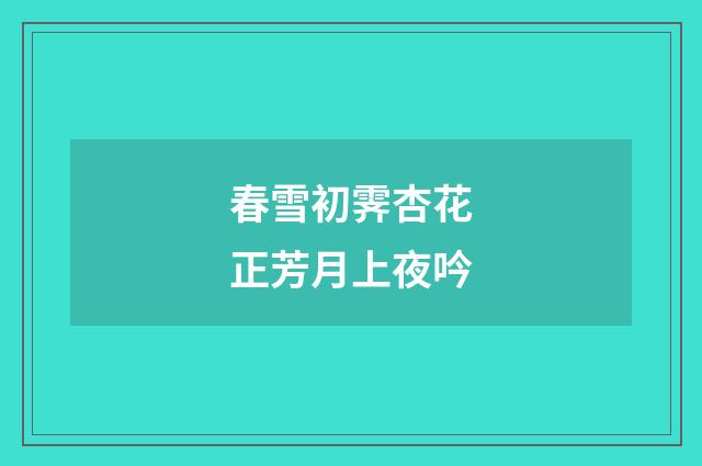 春雪初霁杏花正芳月上夜吟