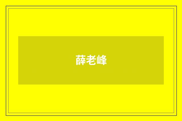 薛老峰