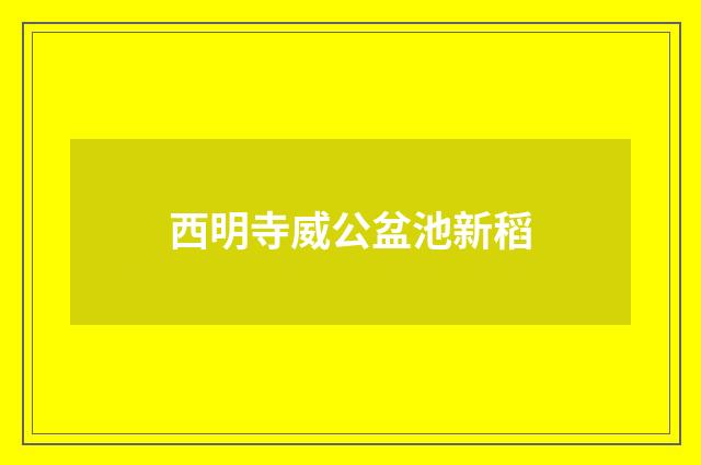 西明寺威公盆池新稻