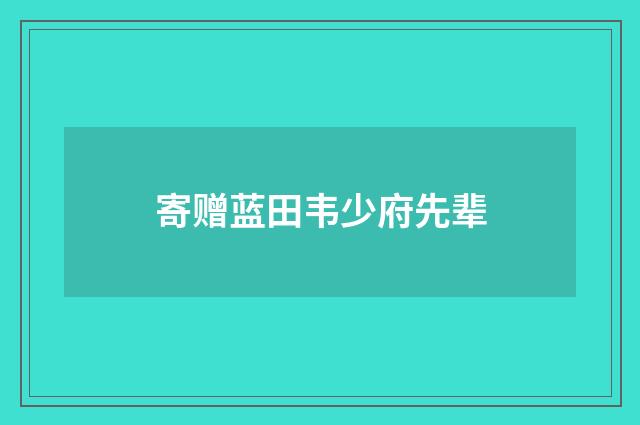 寄赠蓝田韦少府先辈
