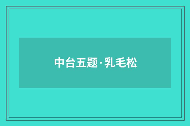 中台五题·乳毛松