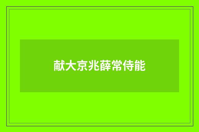 献大京兆薛常侍能
