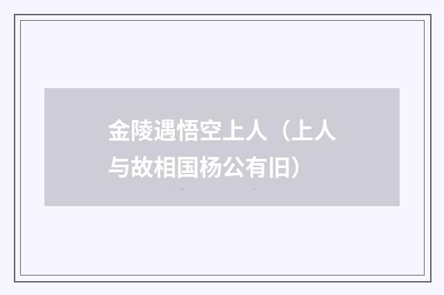 金陵遇悟空上人（上人与故相国杨公有旧）