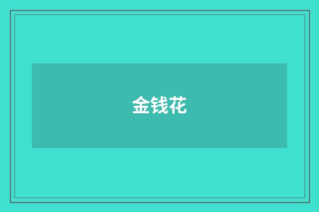 金钱花