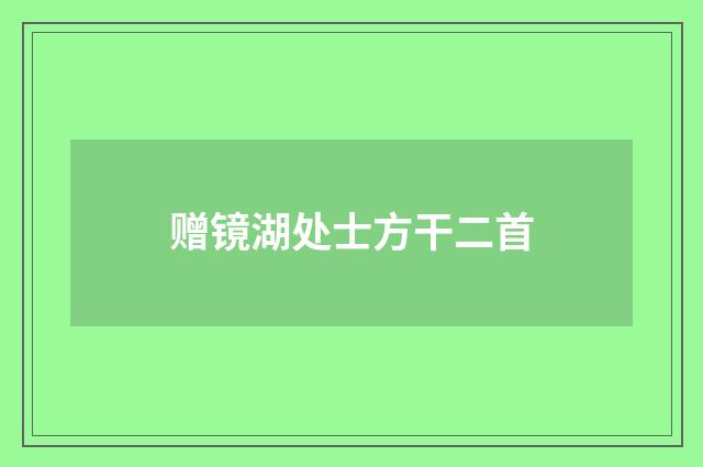 赠镜湖处士方干二首