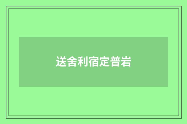 送舍利宿定普岩