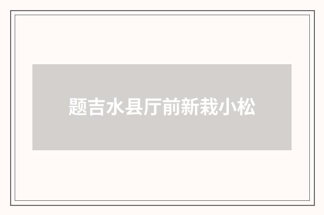 题吉水县厅前新栽小松