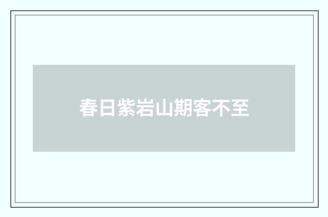 春日紫岩山期客不至