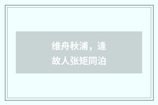 维舟秋浦，逢故人张矩同泊