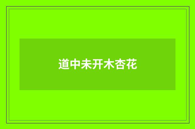 道中未开木杏花