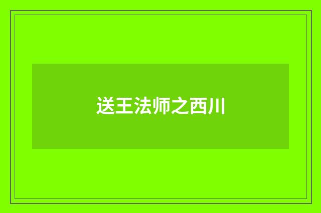 送王法师之西川