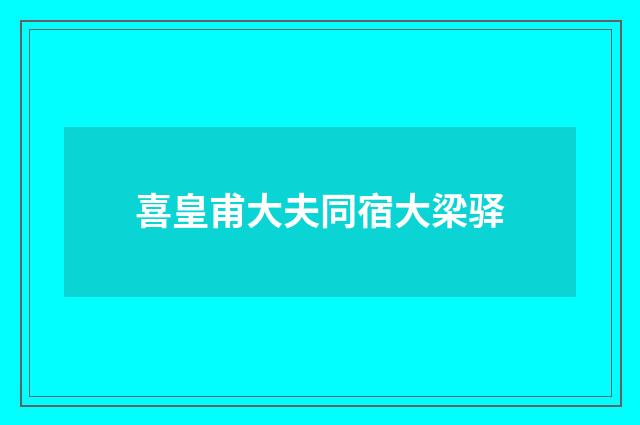 喜皇甫大夫同宿大梁驿