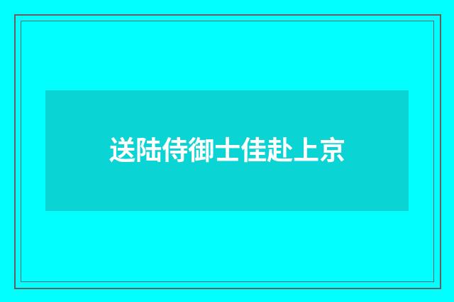 送陆侍御士佳赴上京