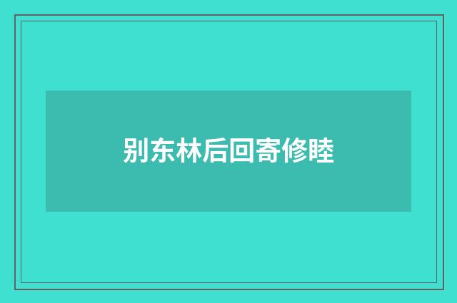 别东林后回寄修睦