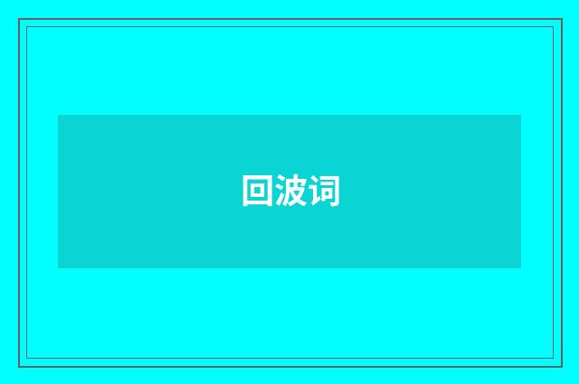 回波词