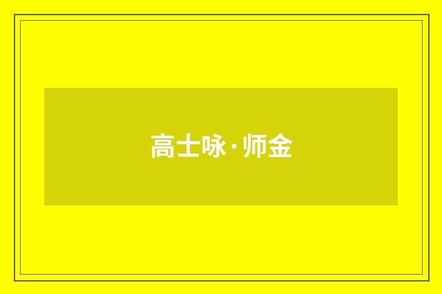 高士咏·师金