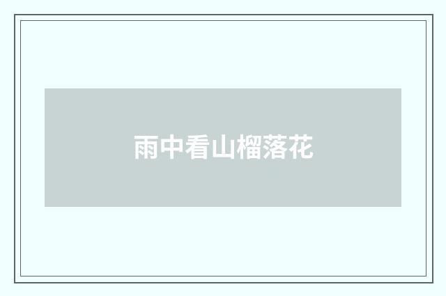 雨中看山榴落花