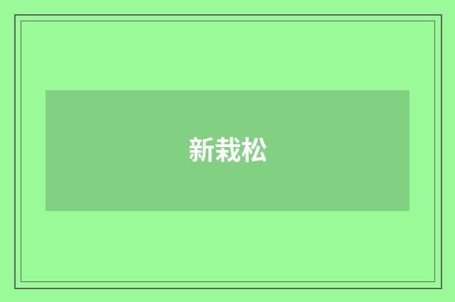 新栽松