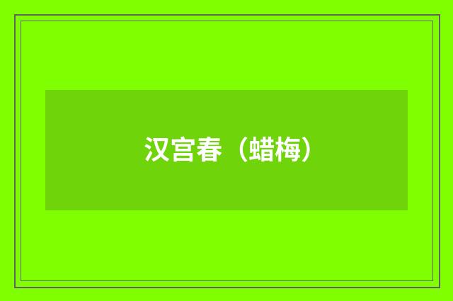 汉宫春（蜡梅）