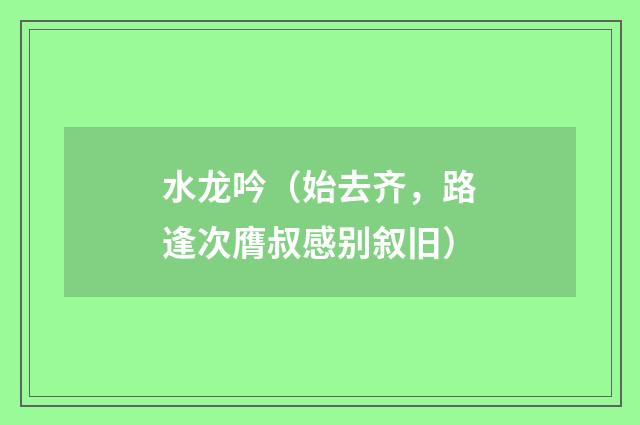 水龙吟（始去齐，路逢次膺叔感别叙旧）