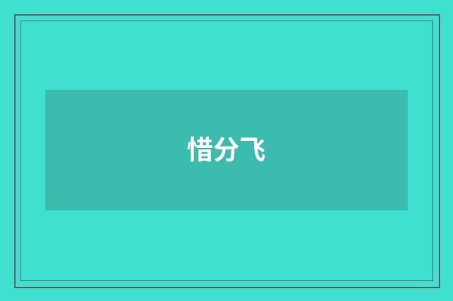 惜分飞