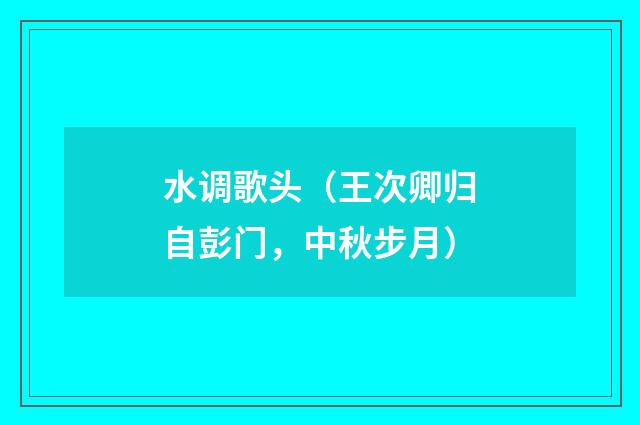 水调歌头（王次卿归自彭门，中秋步月）