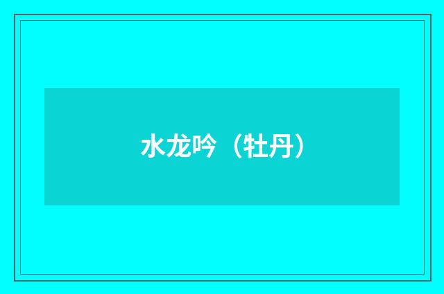 水龙吟（牡丹）