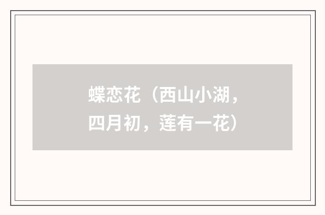 蝶恋花（西山小湖，四月初，莲有一花）