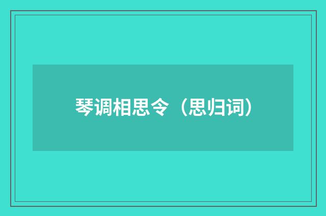 琴调相思令(思归词)