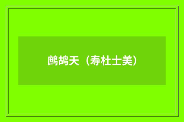 鹧鸪天(寿杜士美)