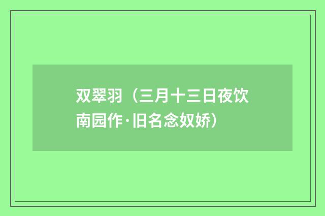 双翠羽(三月十三日夜饮南园作·旧名念奴娇)