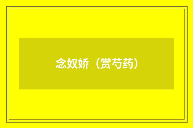 念奴娇（赏芍药）