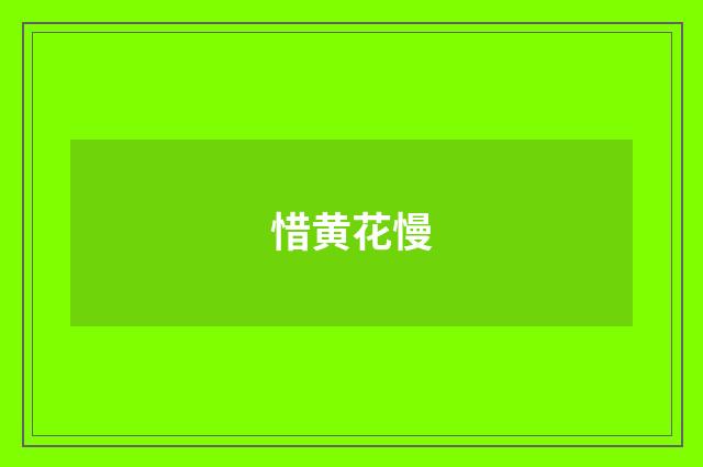 惜黄花慢