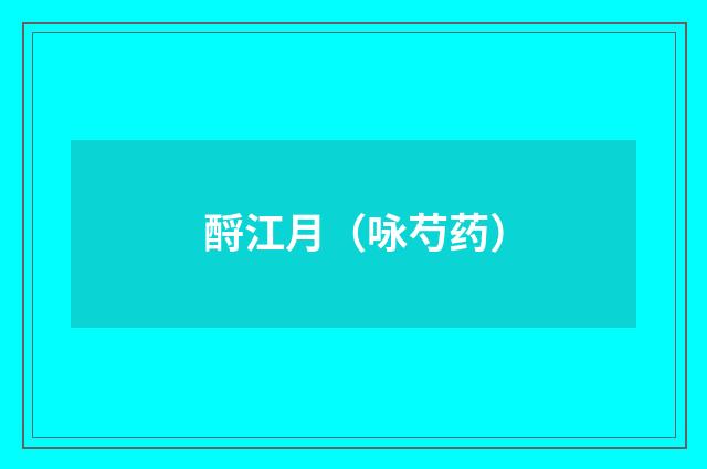 酹江月(咏芍药)