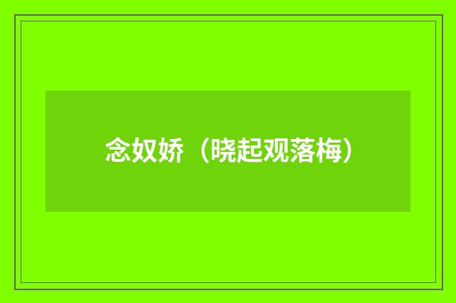 念奴娇(晓起观落梅)