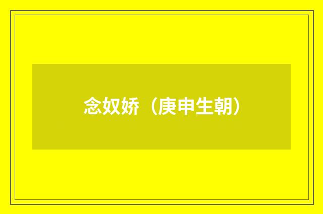 念奴娇（庚申生朝）