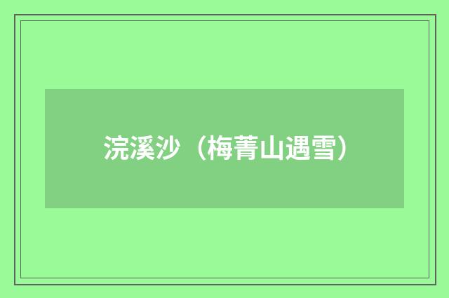 浣溪沙（梅菁山遇雪）