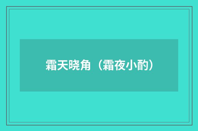 霜天晓角（霜夜小酌）