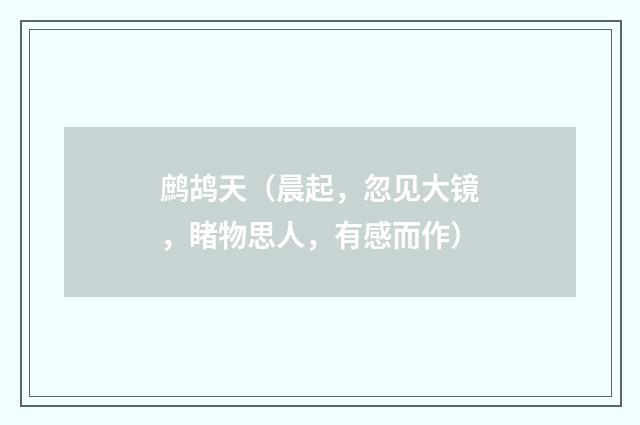 鹧鸪天（晨起，忽见大镜，睹物思人，有感而作）