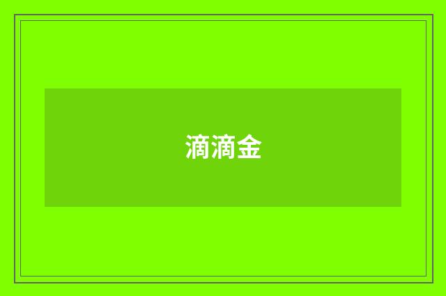 滴滴金