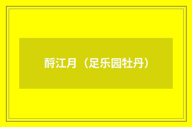 酹江月(足乐园牡丹)