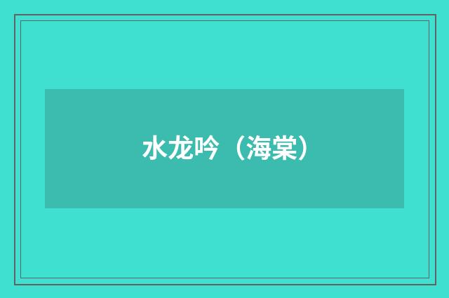 水龙吟（海棠）