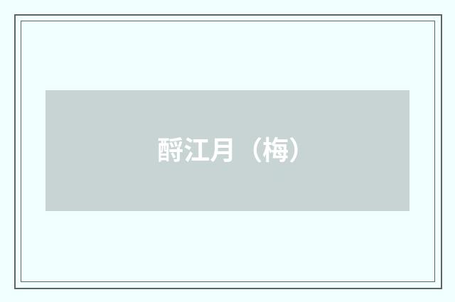 酹江月(梅)