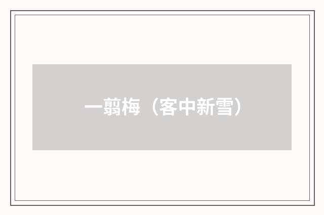 一翦梅(客中新雪)